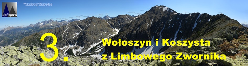 Limbowy Zwornik